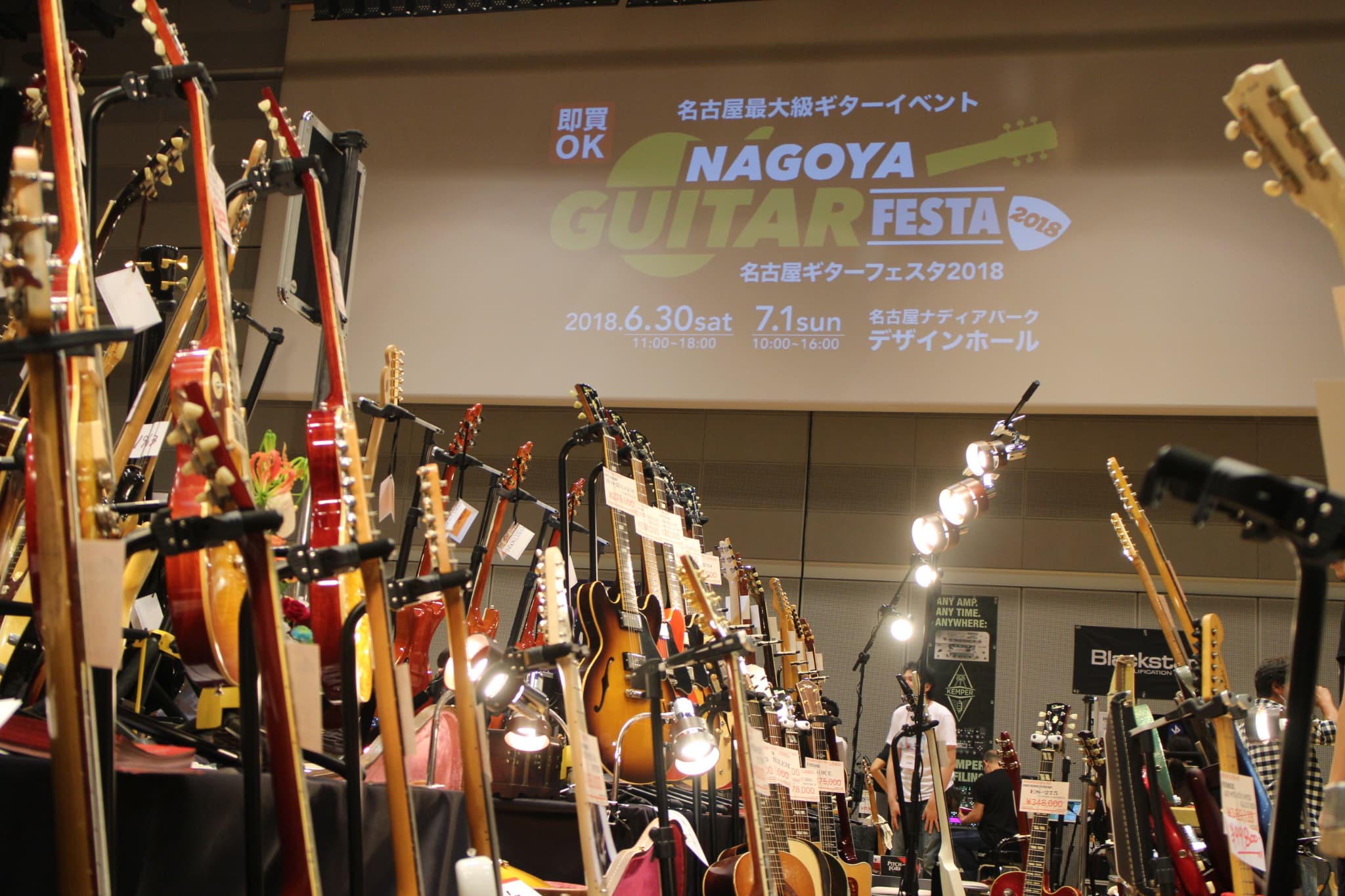 名古屋ギターフェスタ2018より】新しいエレキギターの向かう先は 
